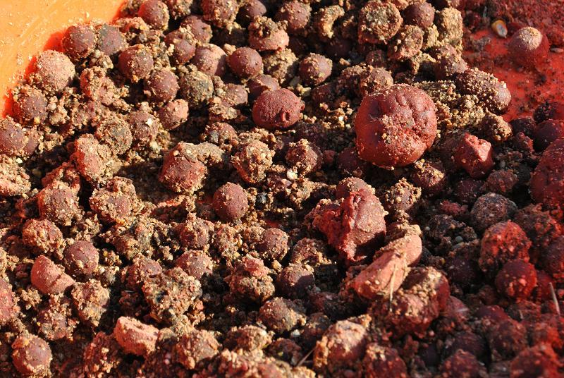 Bloodworm - O nada de primavara